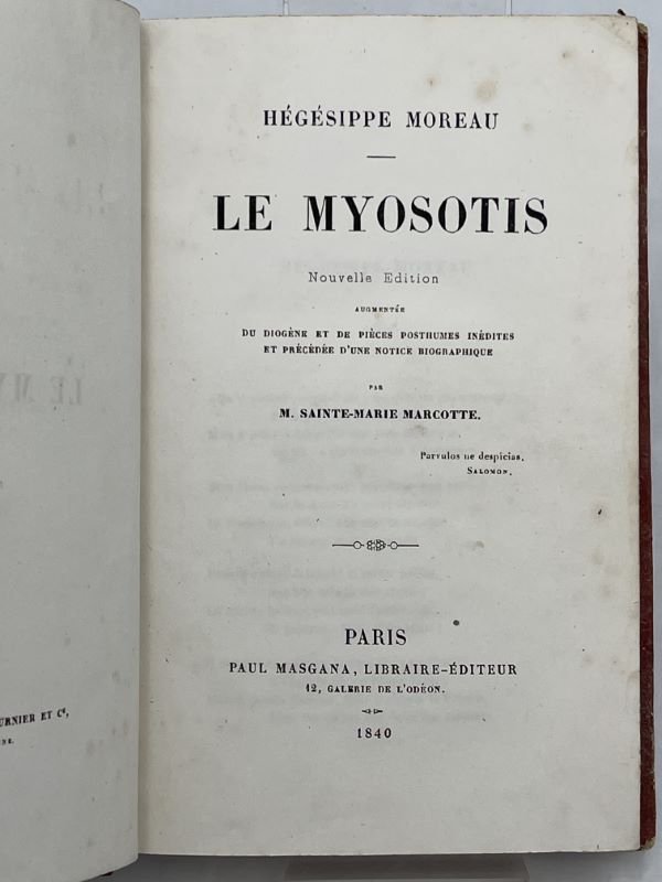 Le myosotis