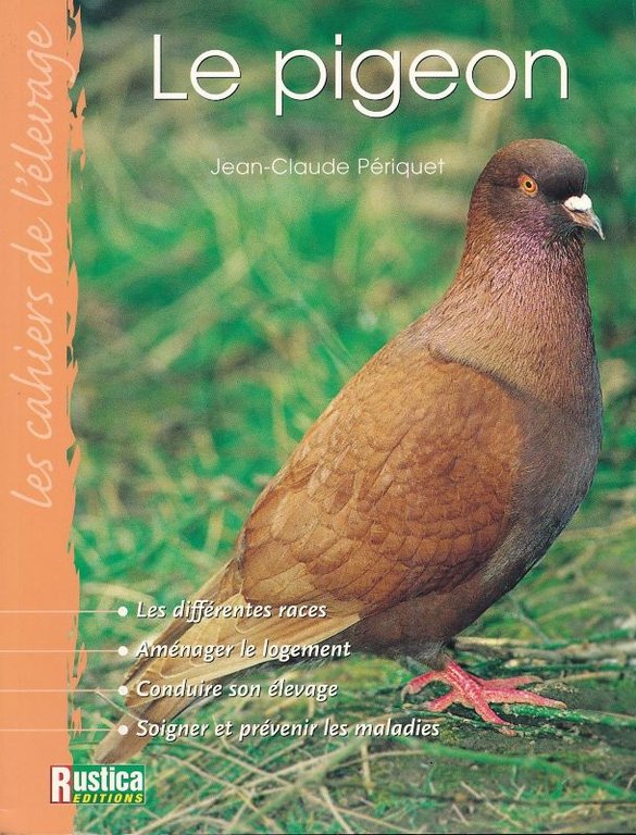 Le pigeon