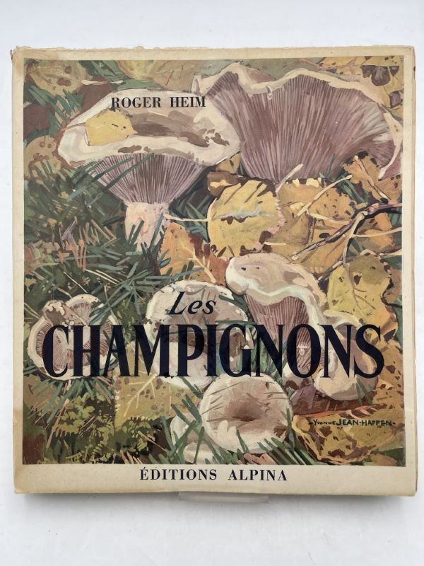 Les Champignons