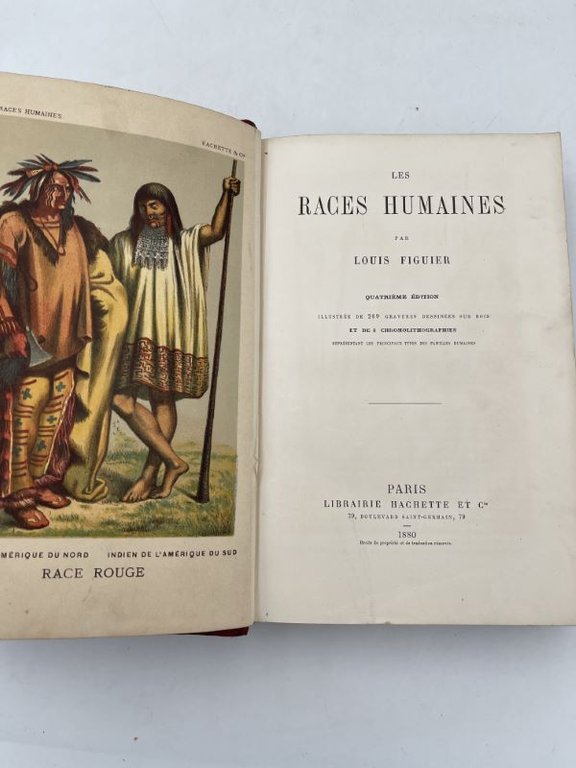 Les races humaines