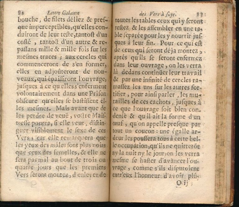 Lettre galante des vers a soye | Immagine Gallery 6