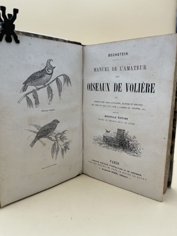 Manuel de l'amateur des oiseaux de volière ou instruction pour …