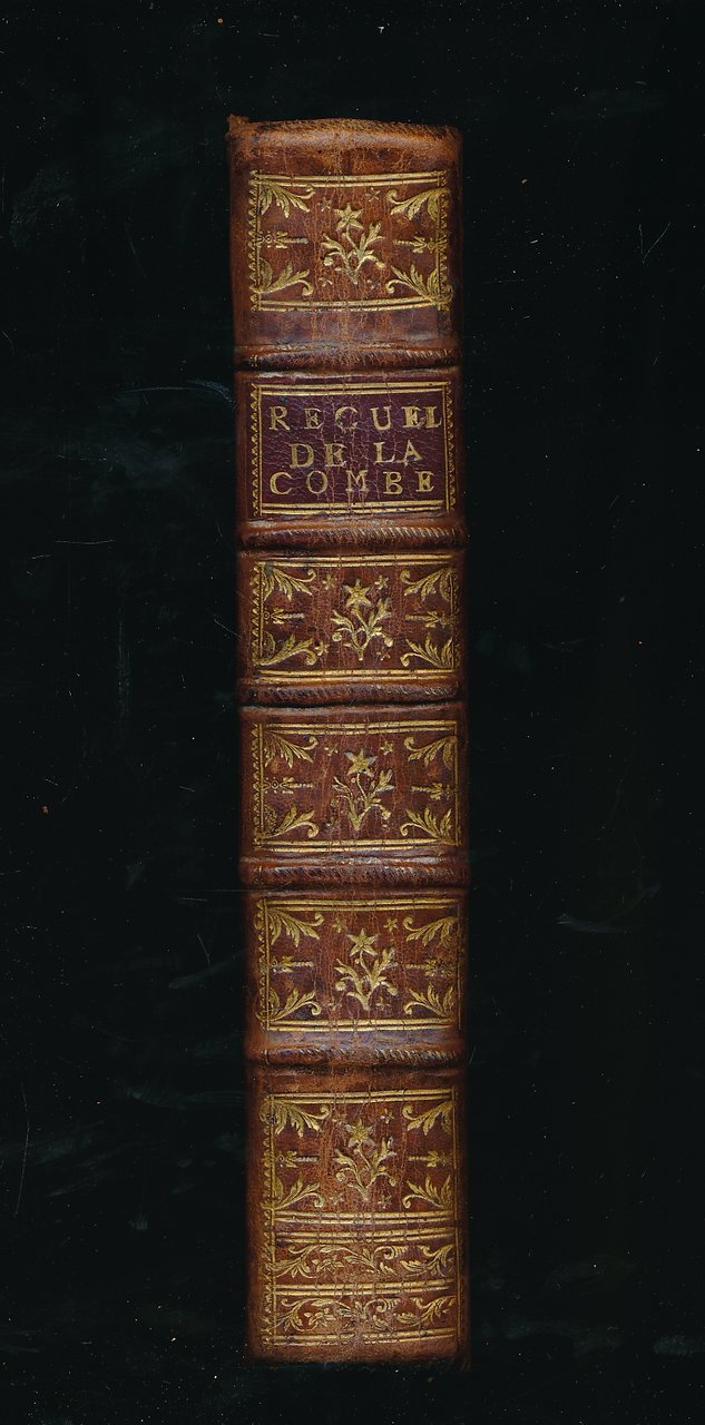 Recueil de jurisprudence civile du pays de droit écrit et …