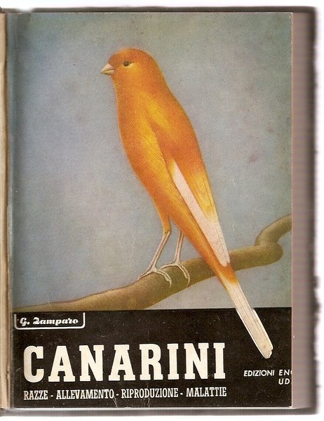 Canarini together with Canarino Rosso