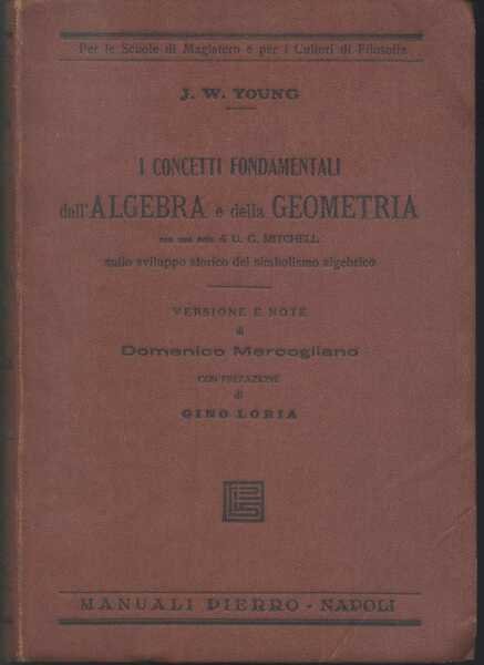 I Concetti Fondamentali dell'Algebra e della Geometria