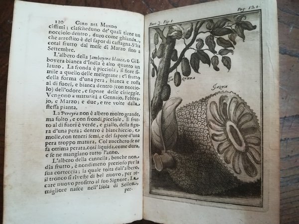 Giro del Mondo. Parte Terza contenente le cose più ragguardevoli …