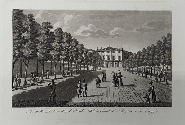 Prospetto all'Ovest del Reale Istituto Sanitario Paganini in Oleggio. Acquatinta. …