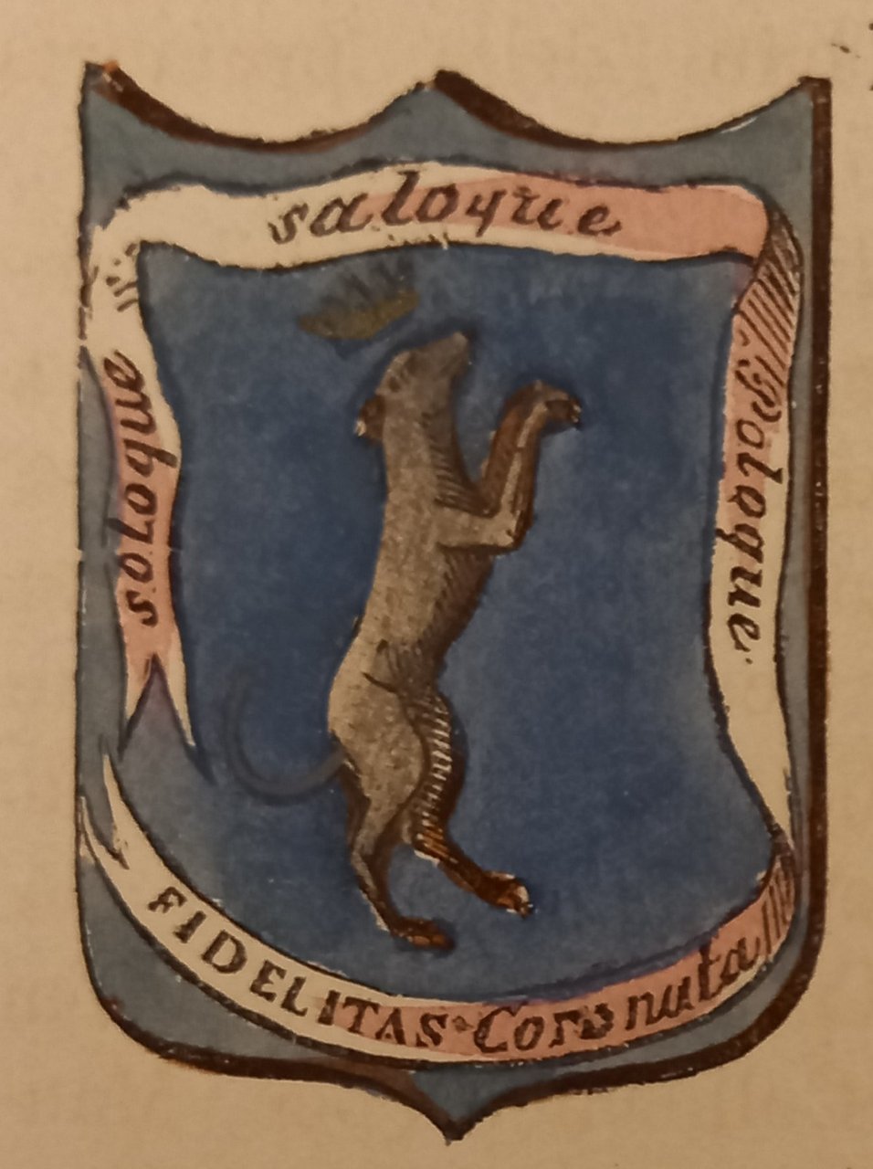 AMENO (NO). Stemma miniato. 1 pag. di testo.