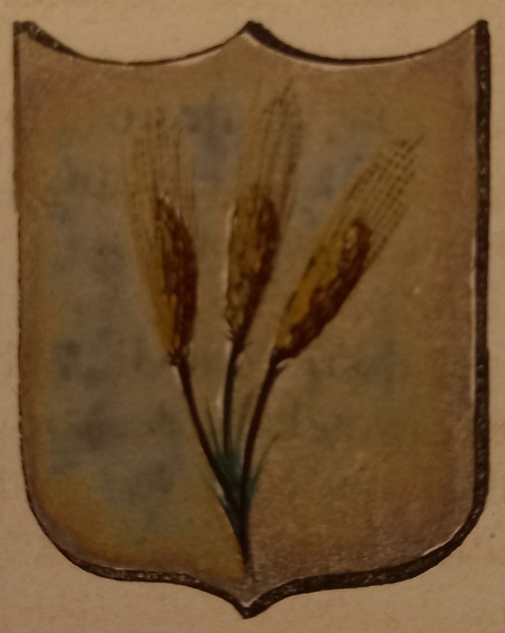 CAMPOMAGGIORE (PZ). Stemma miniato. 2 pagg. di testo.