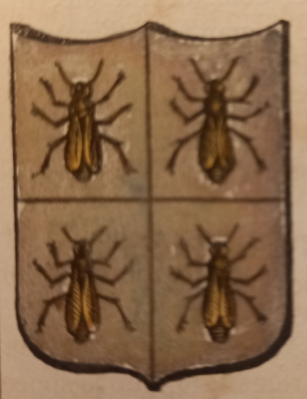 LAPIO (AV). Stemma miniato. 2 pagg. di testo.