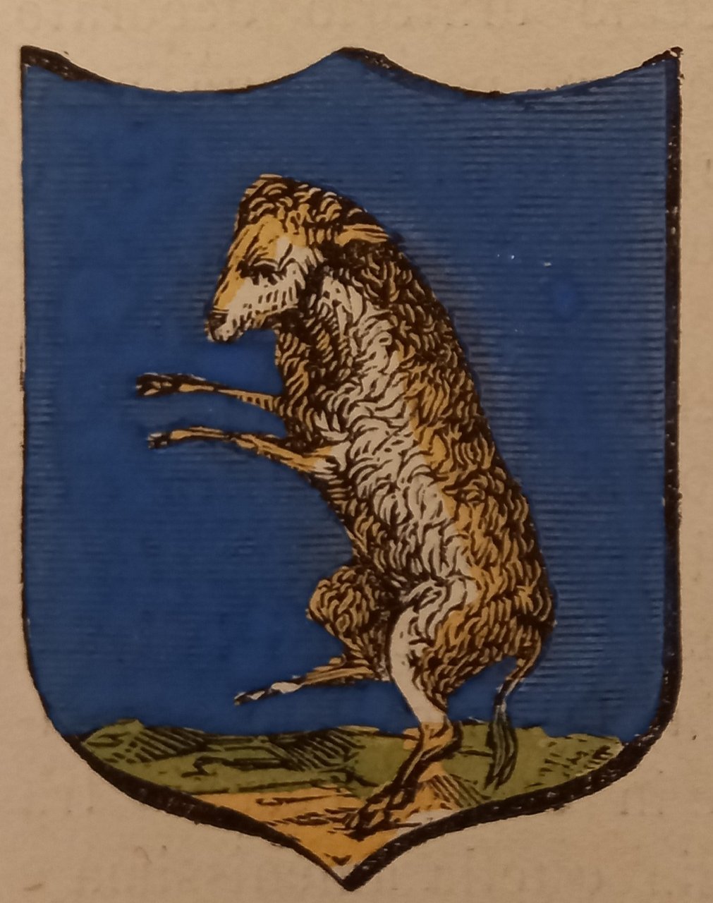 MONTICIANO (SI). Stemma miniato. 2 pagg. di testo, la seconda … | Immagine principale