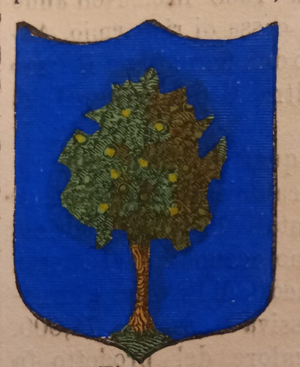 POMAROLO (TN). Stemma miniato. 1 pag di testo la seconda …