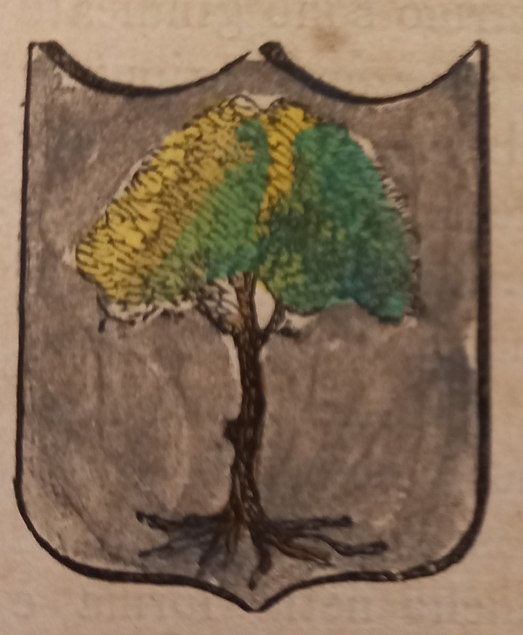 PORTICO DI ROMAGNA (FO). Stemma miniato. 2 pagg. di testo. | Immagine principale