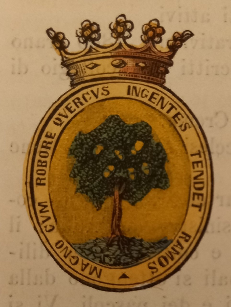 ROVERETO (TN). Stemma miniato. 10 pagg. di testo. | Immagine principale