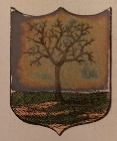 SAN MARIA INDUNO (BO). Stemma miniato. 1 pag. di testo. | Immagine principale