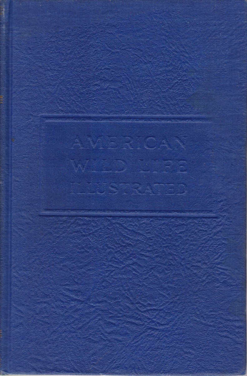 AMERICAN WILD LIFE ILLUSTRATED