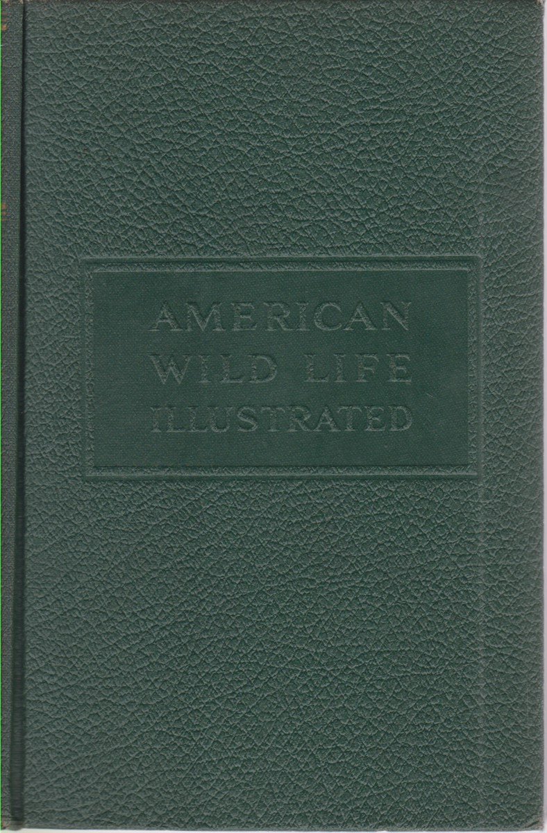 AMERICAN WILD LIFE ILLUSTRATED