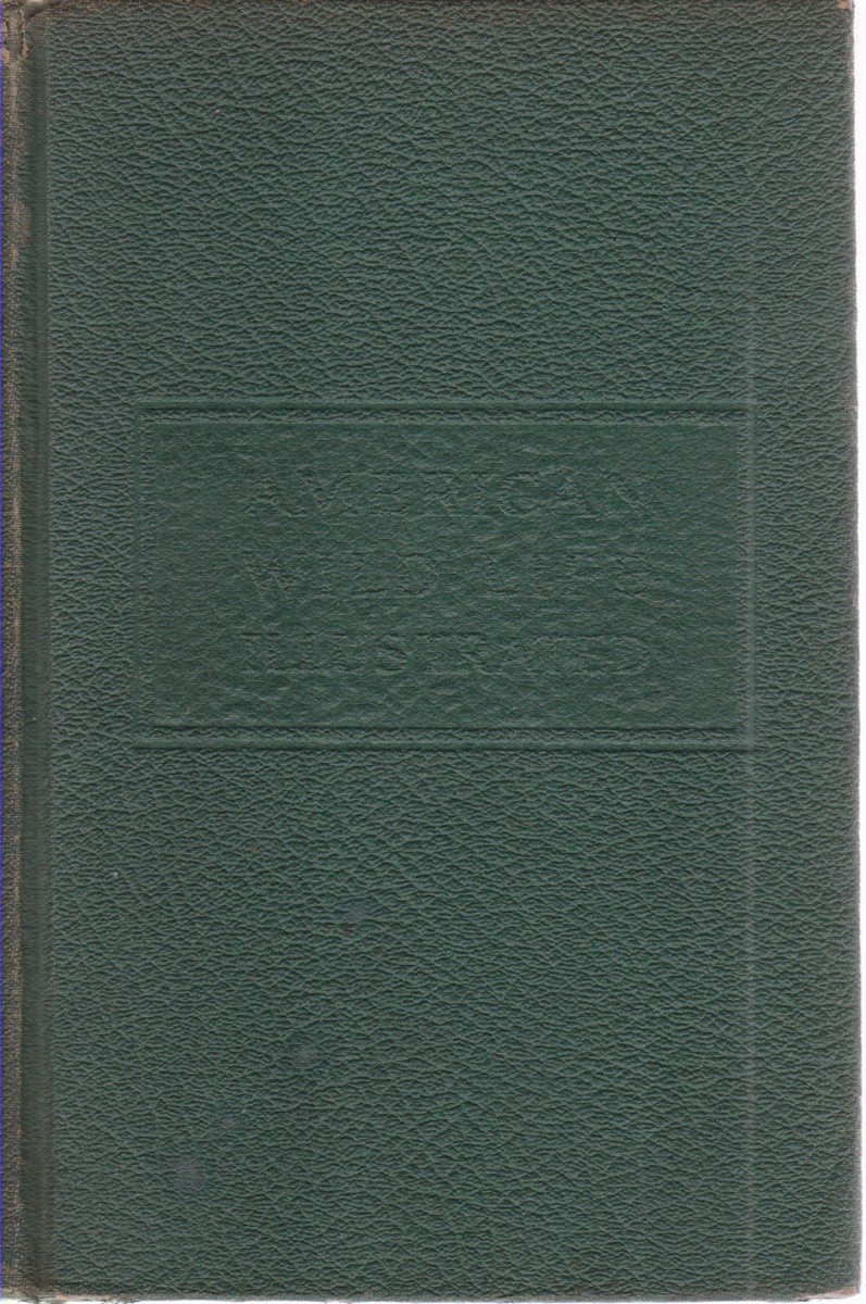 AMERICAN WILD LIFE ILLUSTRATED