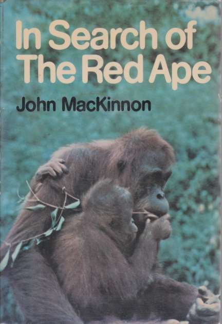 IN SEARCH OF THE RED APE