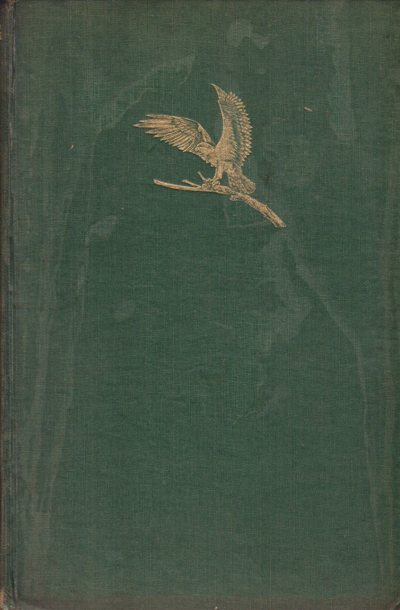 PHOTOGRAPHING WILD LIFE ACROSS THE WORLD