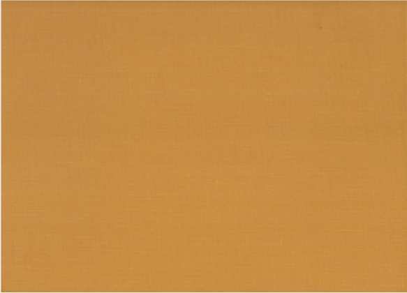 SAVANNAH REVISITED A Pictorial History