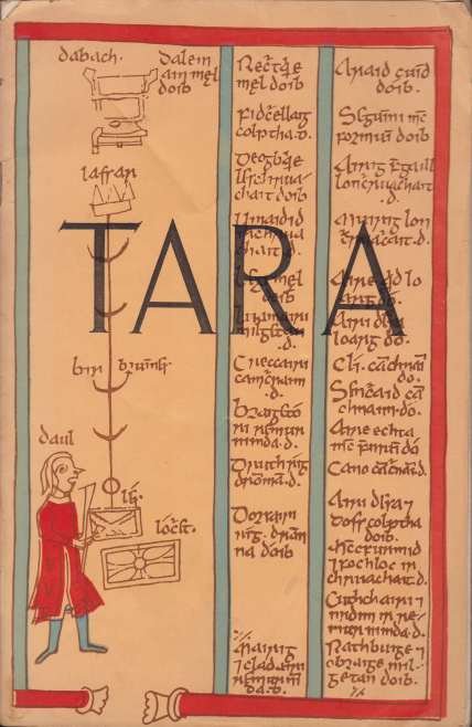 TARA The Monuments on the Hill