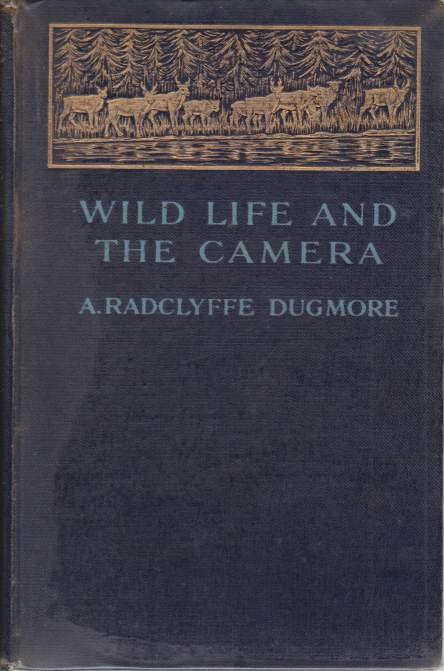 WILD LIFE AND THE CAMERA