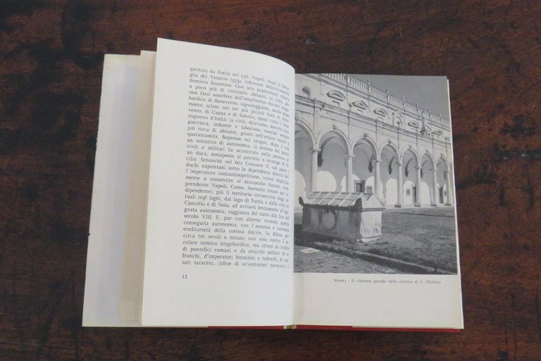Il compagno di viaggio. Itinerari napoletani.