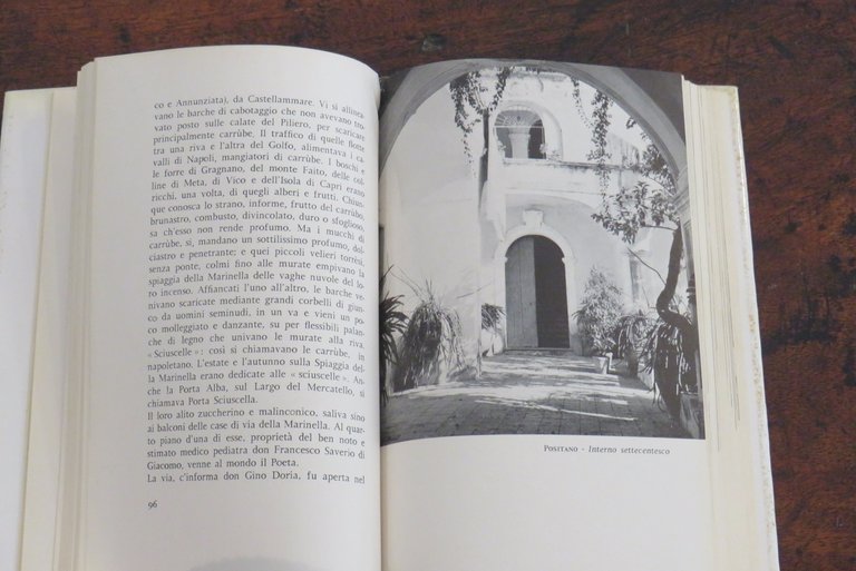 Il compagno di viaggio. Itinerari napoletani.