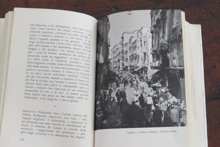 Il compagno di viaggio. Itinerari napoletani.