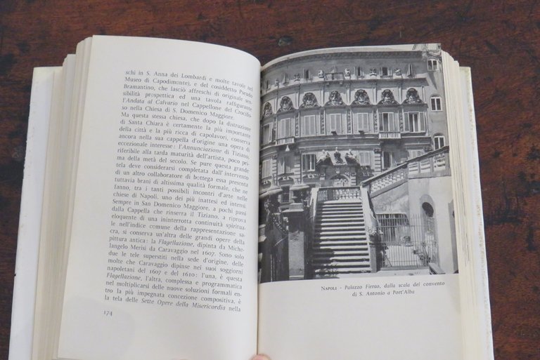 Il compagno di viaggio. Itinerari napoletani.