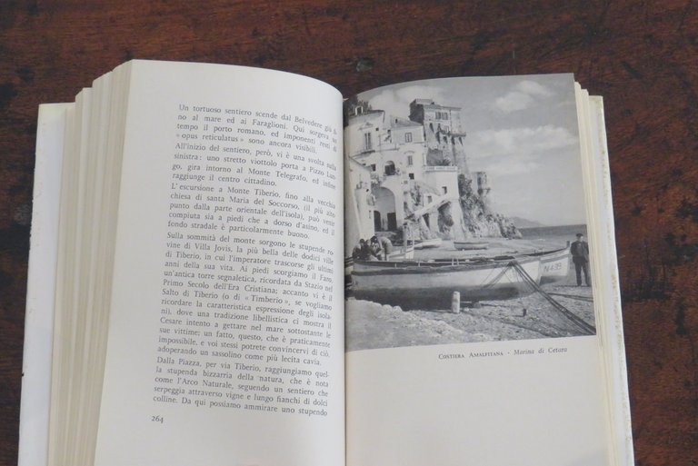 Il compagno di viaggio. Itinerari napoletani.