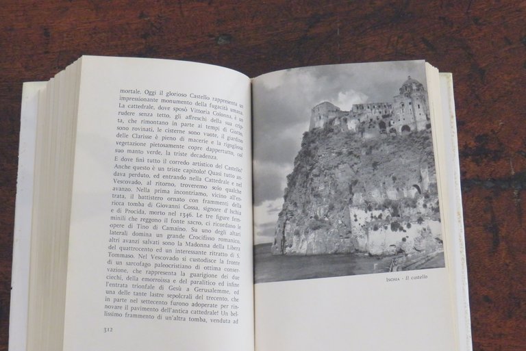 Il compagno di viaggio. Itinerari napoletani.