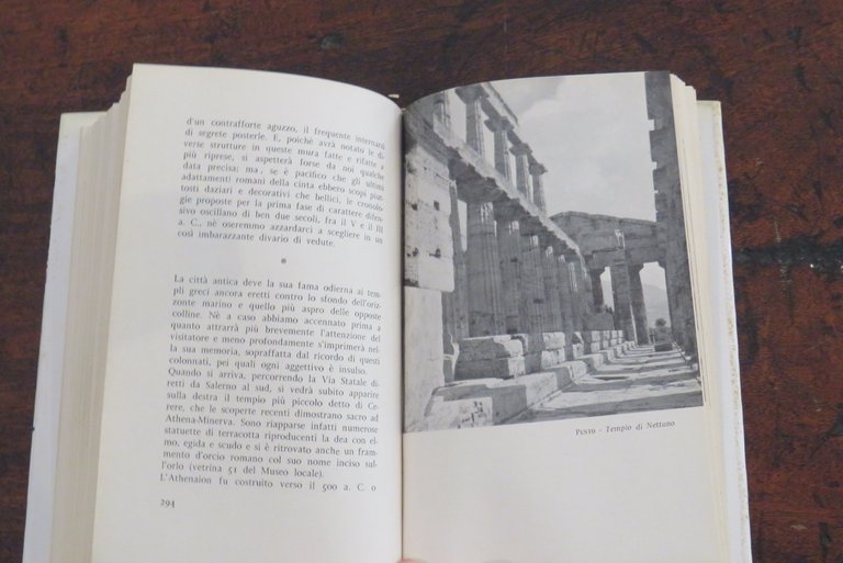 Il compagno di viaggio. Itinerari napoletani.