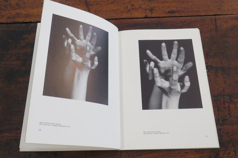 L’artista e la fotografia. Avanguardia e sperimentazione fra le due …