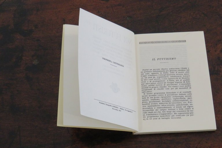 Noi futuristi. Teorie essenziali e chiarificazioni