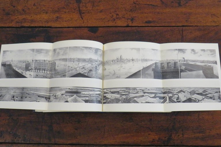 Prima della fotografia. La pittura e l’invenzione della fotografia