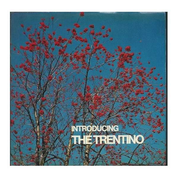 INTRODUCING THE TRENTINO