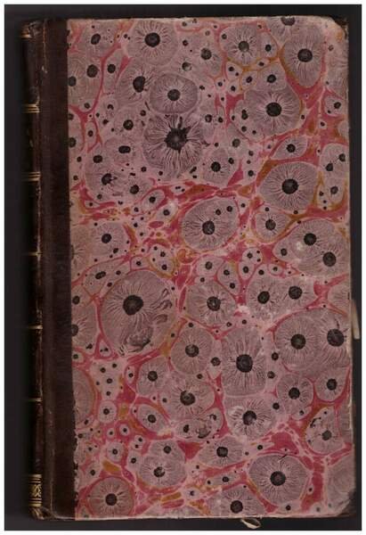 STORIA PITTORICA DELLA ITALIA dal Risorgimento delle belle arti fin … | Immagine Gallery 2