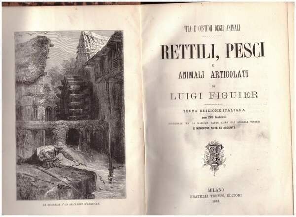 VITA E COSTUMI DEGLI ANIMALI. RETTILI, PESCI E ANIMALI ARTICOLATI … | Immagine principale