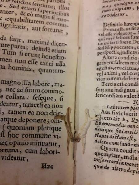 RHETORICES CONTRACTAE SIVE PARTITIONUM ORATORIARUM-Libri V-(1710) | Immagine Gallery 11