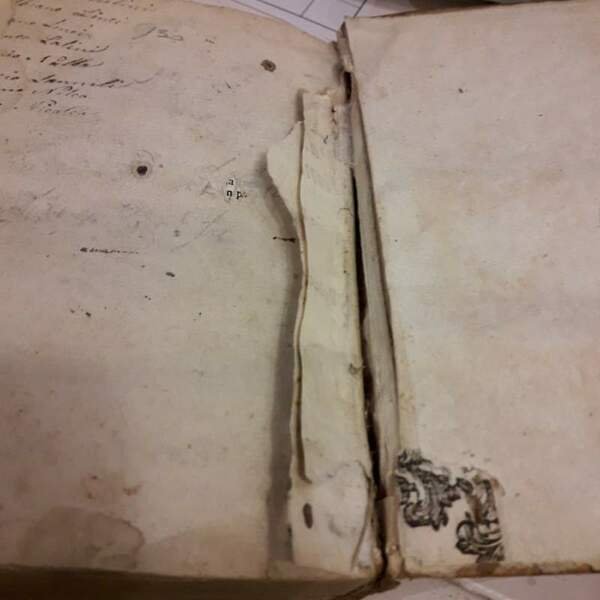 IL RIMARIO DEL SIGNOR GIROLAMO RUSCELLI(1732)