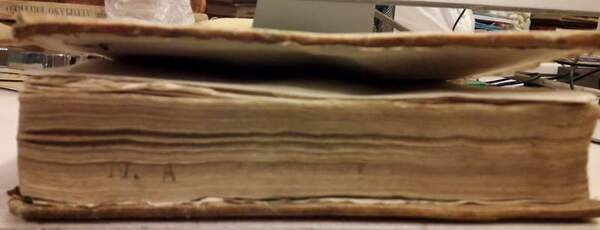 IL RIMARIO DEL SIGNOR GIROLAMO RUSCELLI(1732)