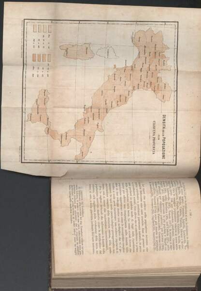 LA STATISTICA E LA VITA SOCIALE (1879)