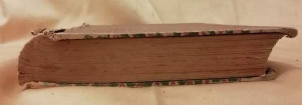 LES CONFIDENCES D'UNE AIEULE (1900)