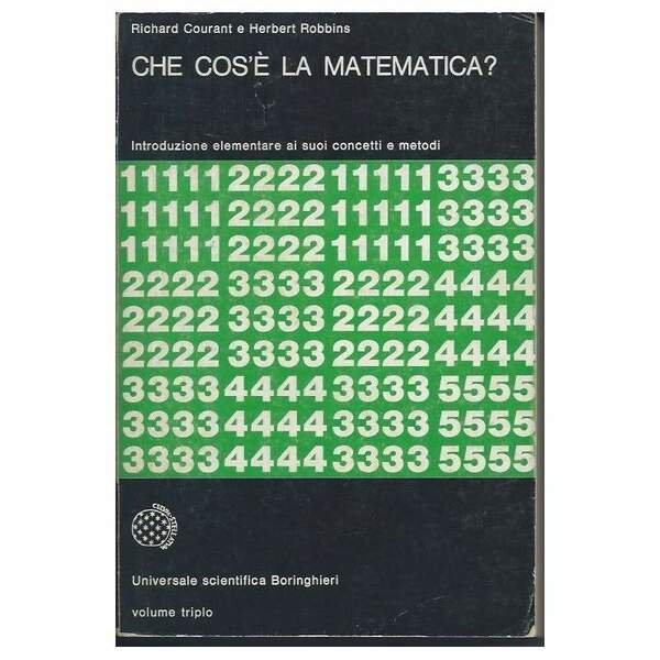 CHE COS'E LA MATEMATICA - Introduzione elementare ai suoi concetti … | Immagine principale