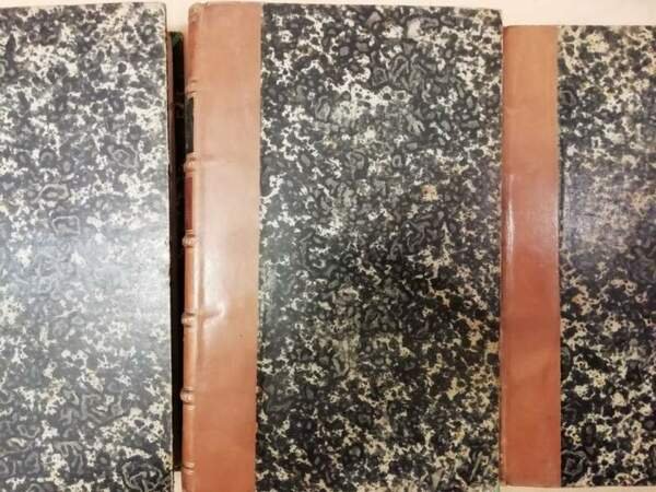 MEMOIRES POSTHUMES DU FELD-MARECHAL COMTE DE STEDINGK (1844)