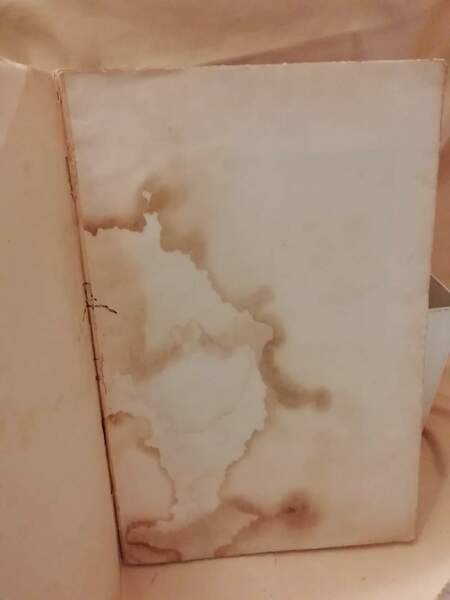 PERON UOMO D'AMERICA | Immagine Gallery 3