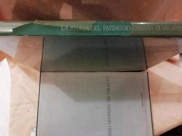 LA STORIA DEL PAESAGGIO URBANO DI MILANO(1988)