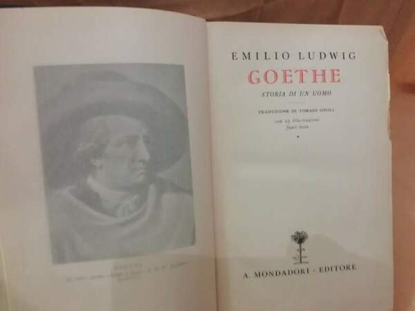 GOETHE storia di un uomo (1932)
